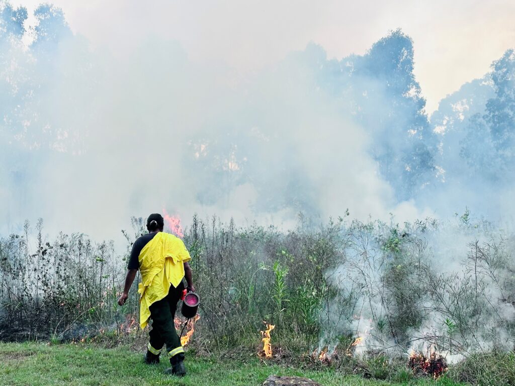 A woman is burning country in her traditional ways. She is carrying a drip torch and the grasses are on fire and smoking.
